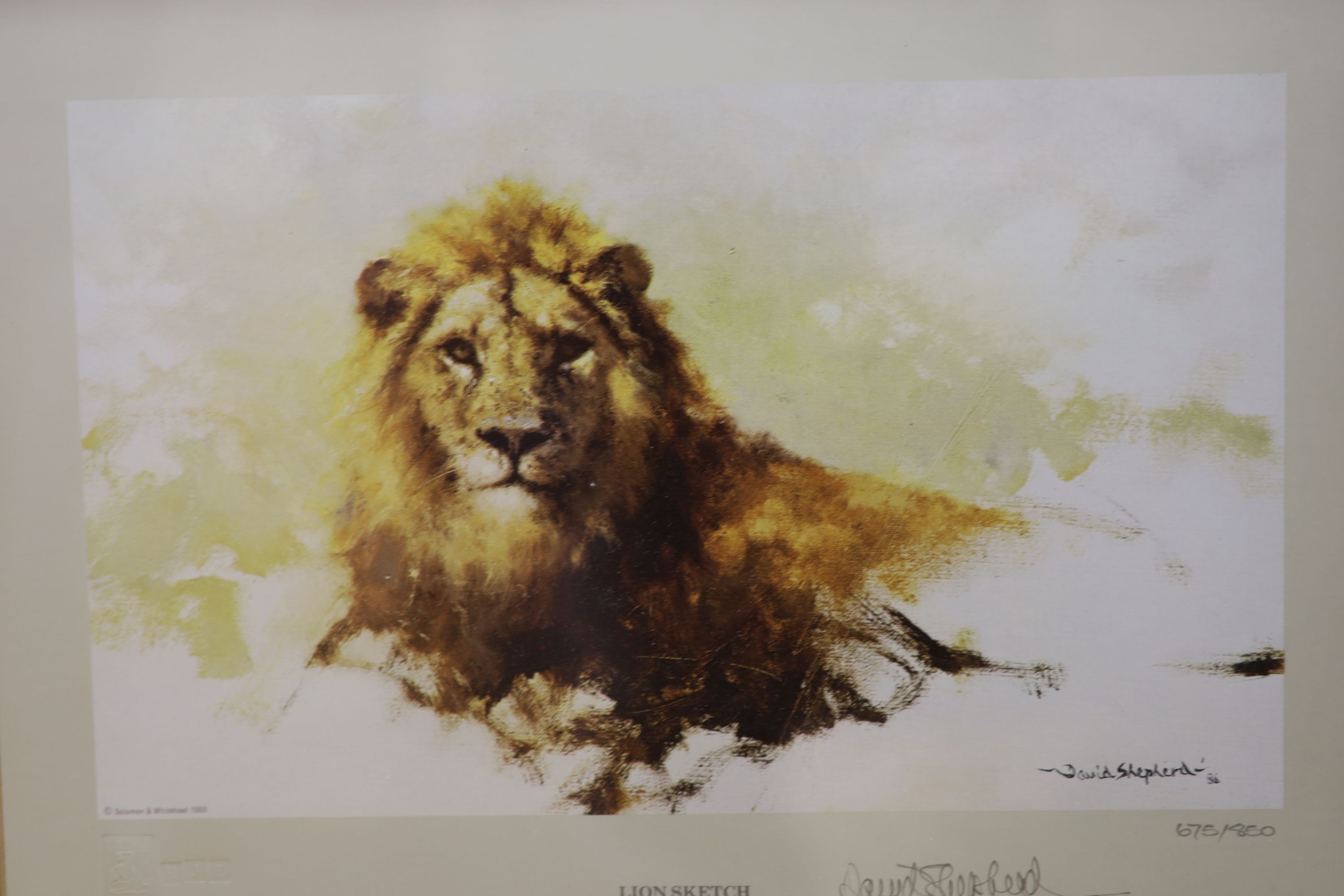 Margaret Chapman, three signed prints, Salt Regal, Salutaris Water and Johannis, all signed in pencil, 27 x 26cm and three David Shepherd prints; Lion sketch, Tiger sketch & Rhino Reverie